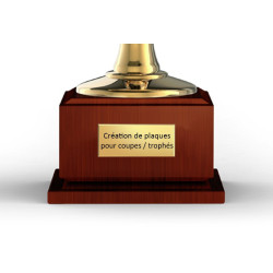 Plaque pour trophée (Largeur : 60mm)