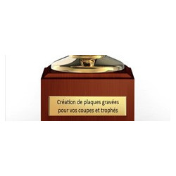 Plaque pour trophée - 100 x 20mm