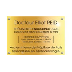 Plaque en laiton doré sans logo