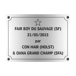 PLAQUE DE BOX a chevaux - argent - vis et cabochons - Mon Tampon