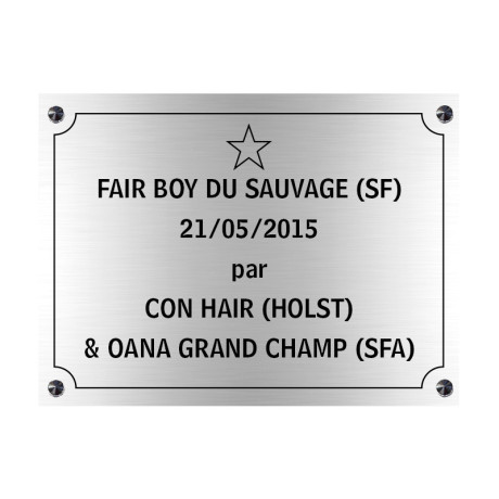 PLAQUE DE BOX a chevaux - argent - vis et cabochons - Mon Tampon