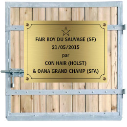 Plaques de box chevaux